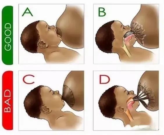 怎么正确含乳方式,正确的含乳方法躺着