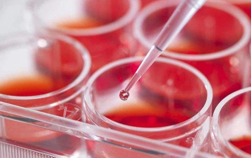 鼎足龟粮与海豚龟粮哪个更好,适合所有水龟食用的龟粮