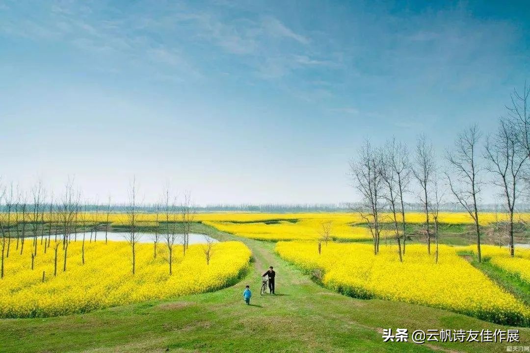 当代诗词平台云帆诗会,云帆诗会2022