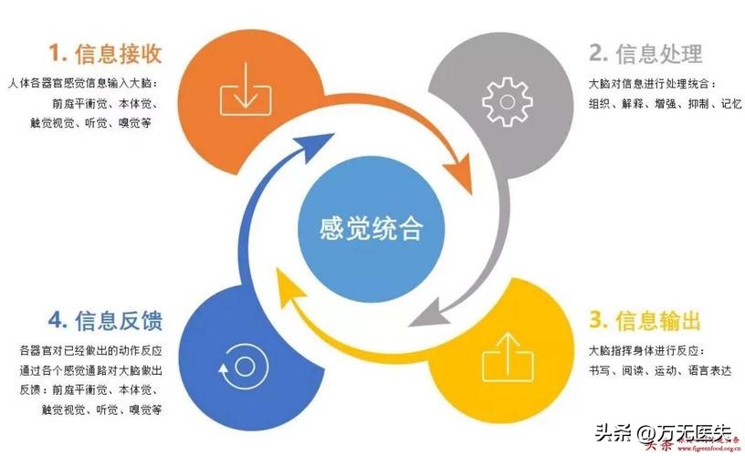 宸﹁剳鍜屽彸鑴戞崯浼ゅ悇鑷甫鏉ョ殑鍗卞,宸﹁剳鎹熶激鍙宠剳浼氭縺鍙戝悧