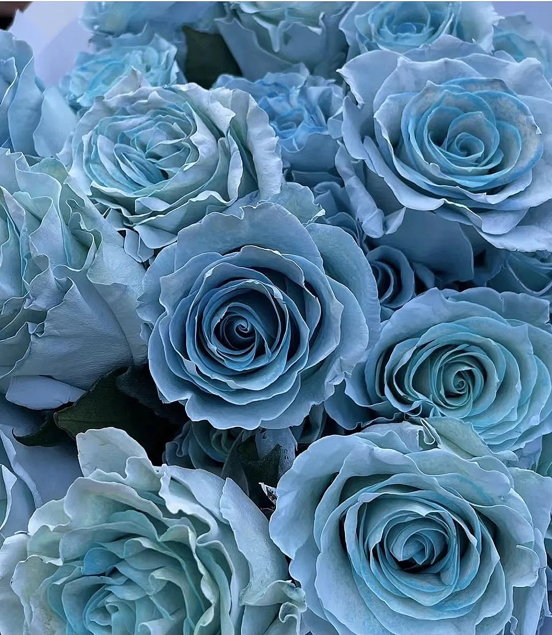 花艺教程花材打理知识,花艺教程常用花材及叶材有哪些