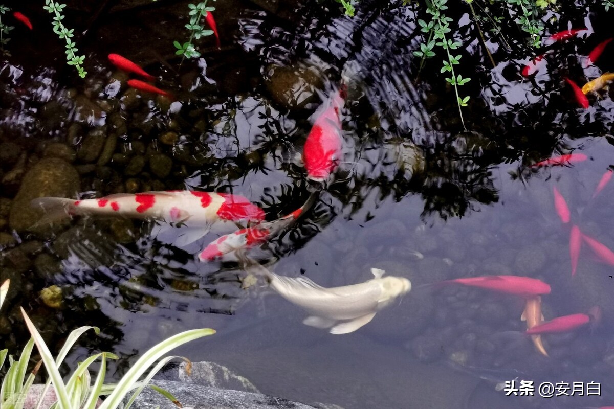写作文凑字数的方法与技巧,作文写不完如何凑字数