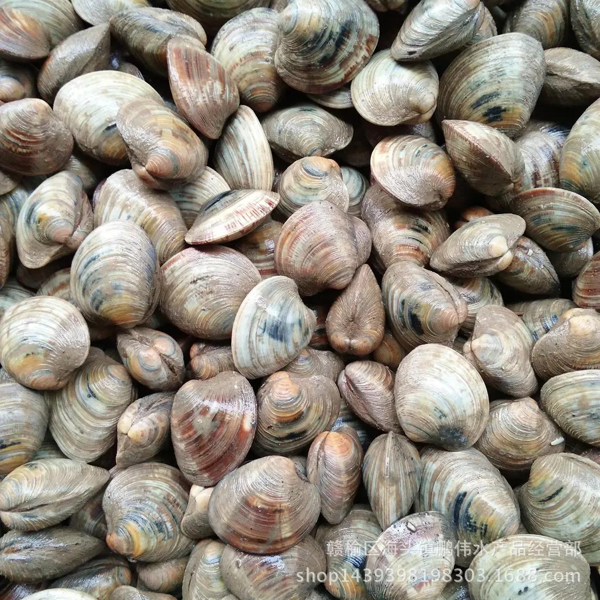 丹东东港旅游攻略自由行,丹东避暑游玩的地方推荐