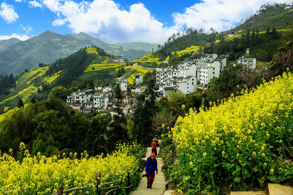 皖南赏花排名,安徽皖南春光好赏花正当时
