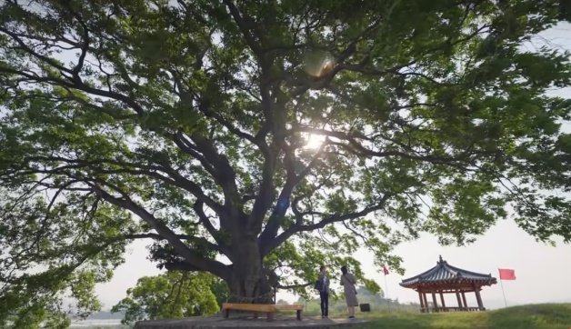 《非常律师禹英禑》真人真事案件：自闭症弟弟救哥哥致死案