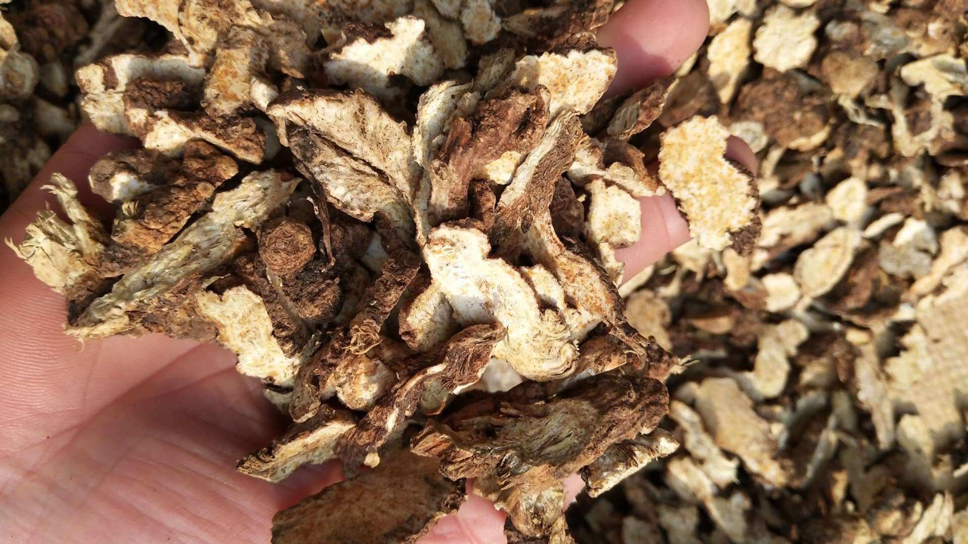 湿热下注引起的妇科炎症小妙招,妇科湿热下注导致尿频用什么药