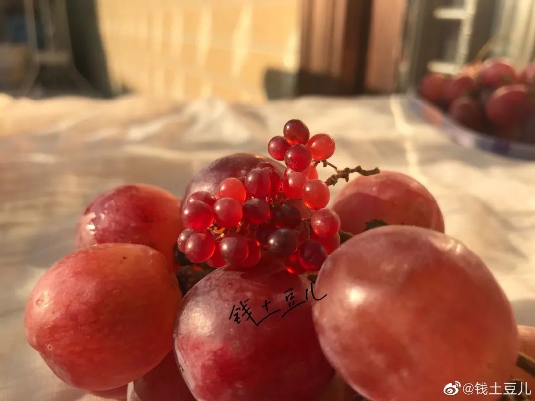 90后妈妈因造假走红,网红辣妈骗局