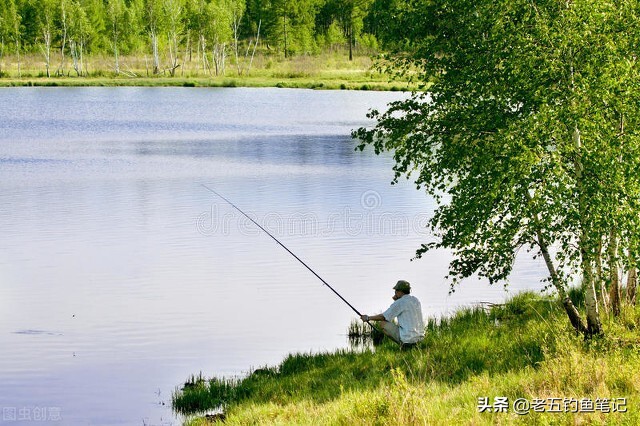 解读九条钓鱼谚语，不能盲从但是可以尝试