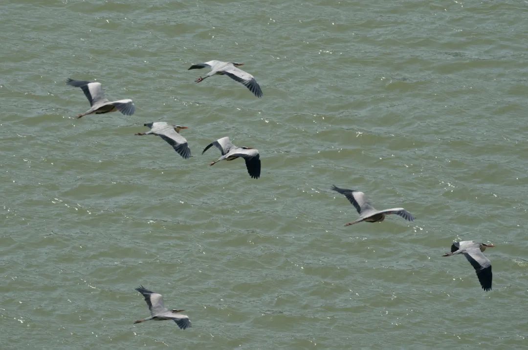 迎接党的20大美术作品,喜迎二十大乡村摄影展