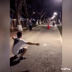 驾校的每一个点都有他存在的意义,驾校的一草一木都有它存在的意义