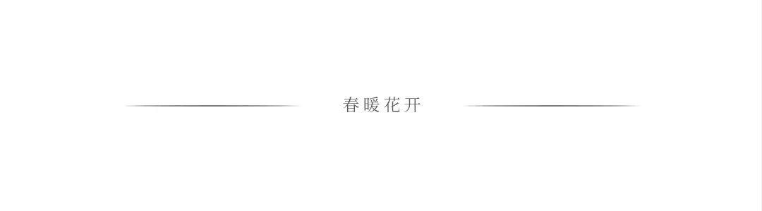 陈春花企业家精神与价值重构,企业核心价值观的解读