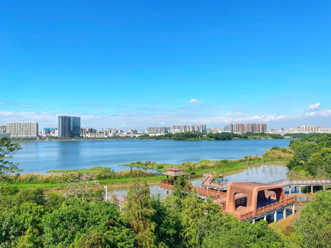 我为什么建议你来北上广深奋斗,我为什么建议你留在一线城市