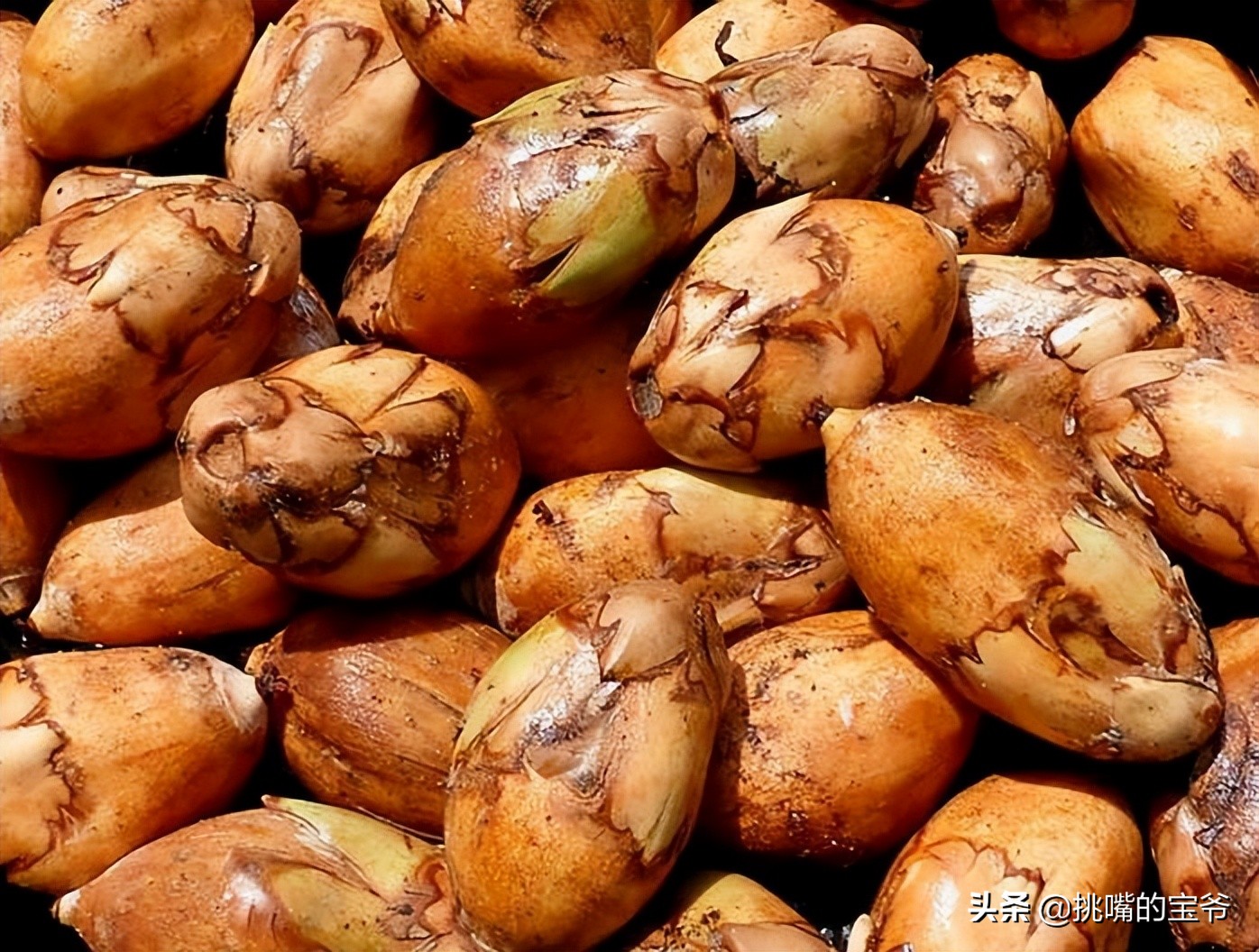 苏里南中国春节,苏里南的特色水果是什么