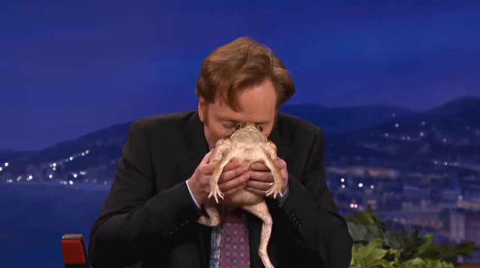 癞蛤蟆的毒有多可怕,癞蛤蟆毒素上瘾