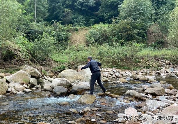 为什么超市的蜂蜜不能买,现在超市里蜂蜜那么便宜是真的吗