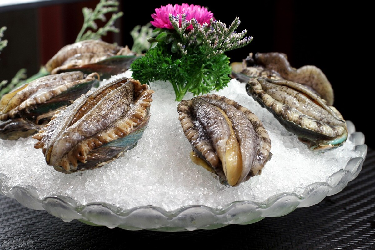 燕窝鱼翅辽参鲍鱼真的有营养吗,燕窝鱼翅鲍鱼海参的蛋白营养价值