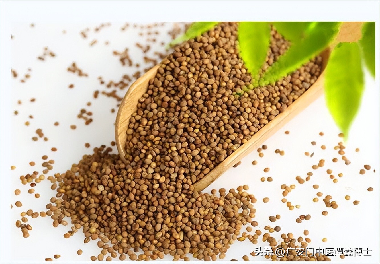 治疗前列腺癌骨转移验方,前列腺癌转移中药药方