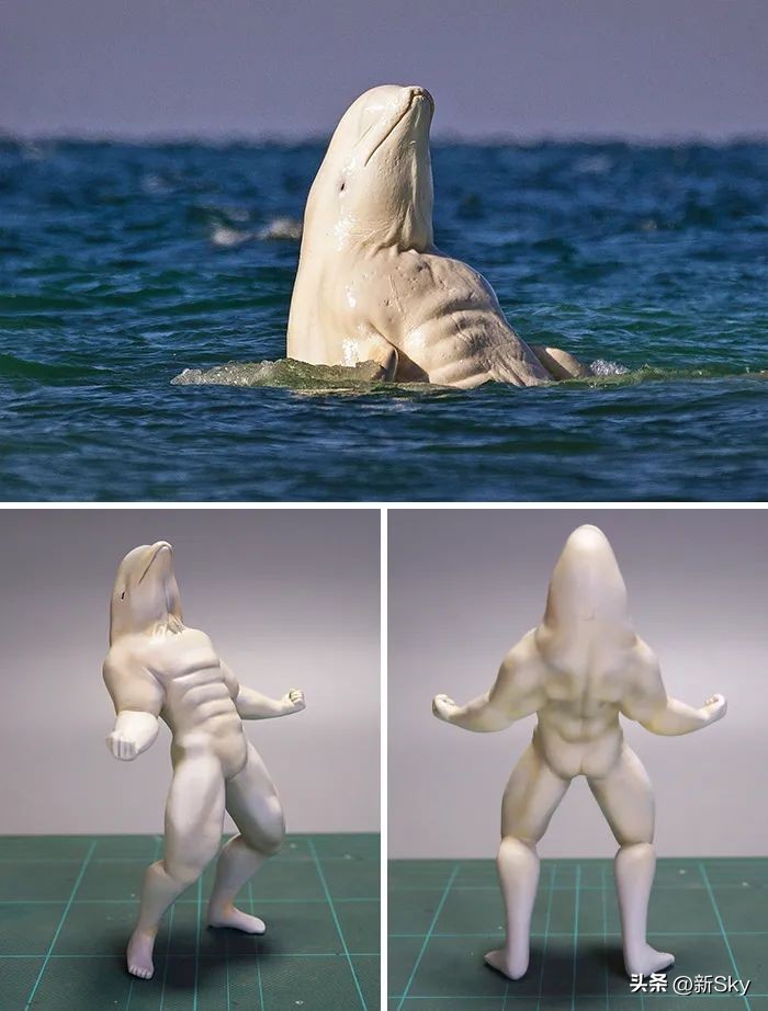 哈哈哈，这个神经手办又双叒更新了，笑惨我了