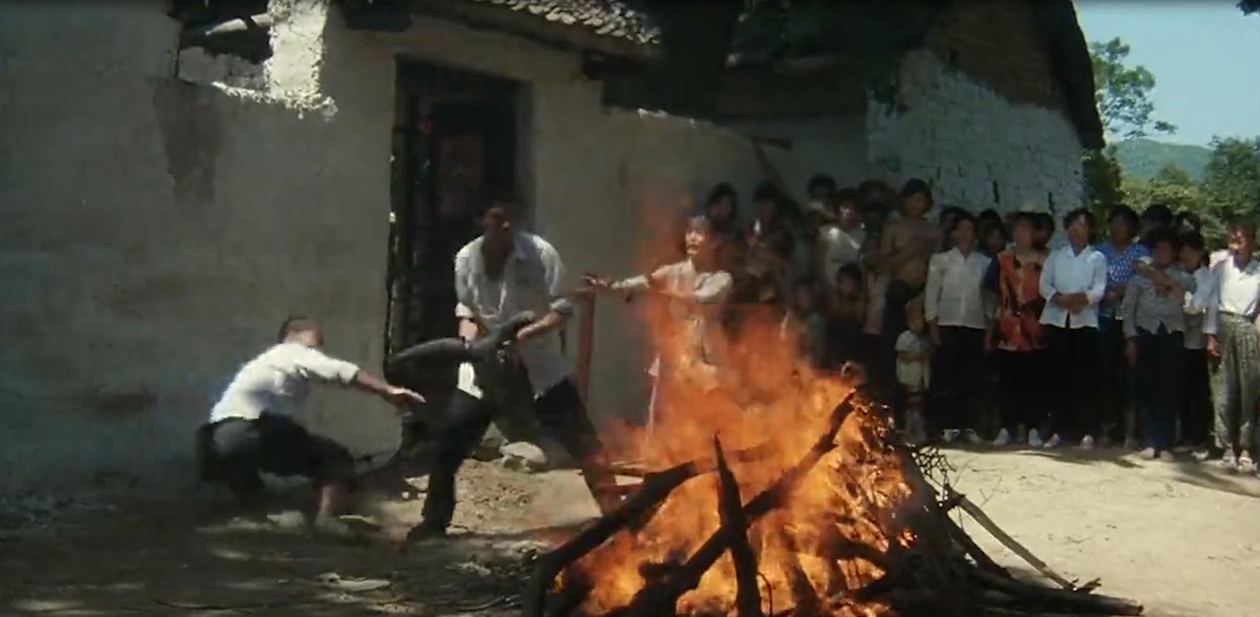 人性与欲望交织的*理片伦**，男人娶了村长的女儿，婚后让她独守空房