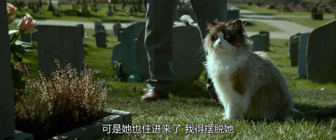 毒舌心暖，三月的温情是这个男人给的|夜读