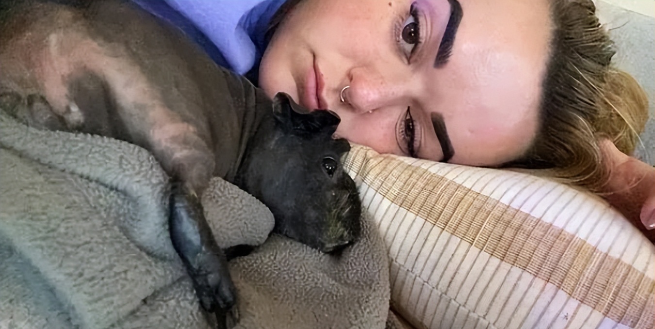 加拿大妈妈发现儿子头发莫名“越留越短”，居然是被家里豚鼠啃得