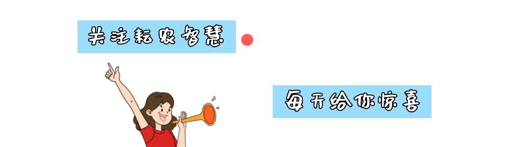 邯郸耘农智慧,邯郸耘农智慧有限公司怎么样