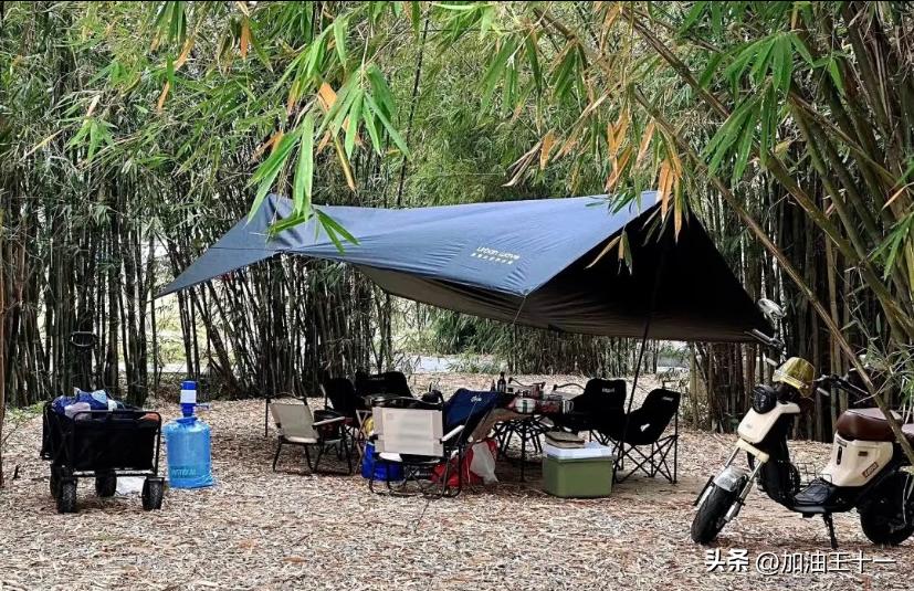 半月岛生态公园小垦丁,佛山半月岛湿地公园攻略