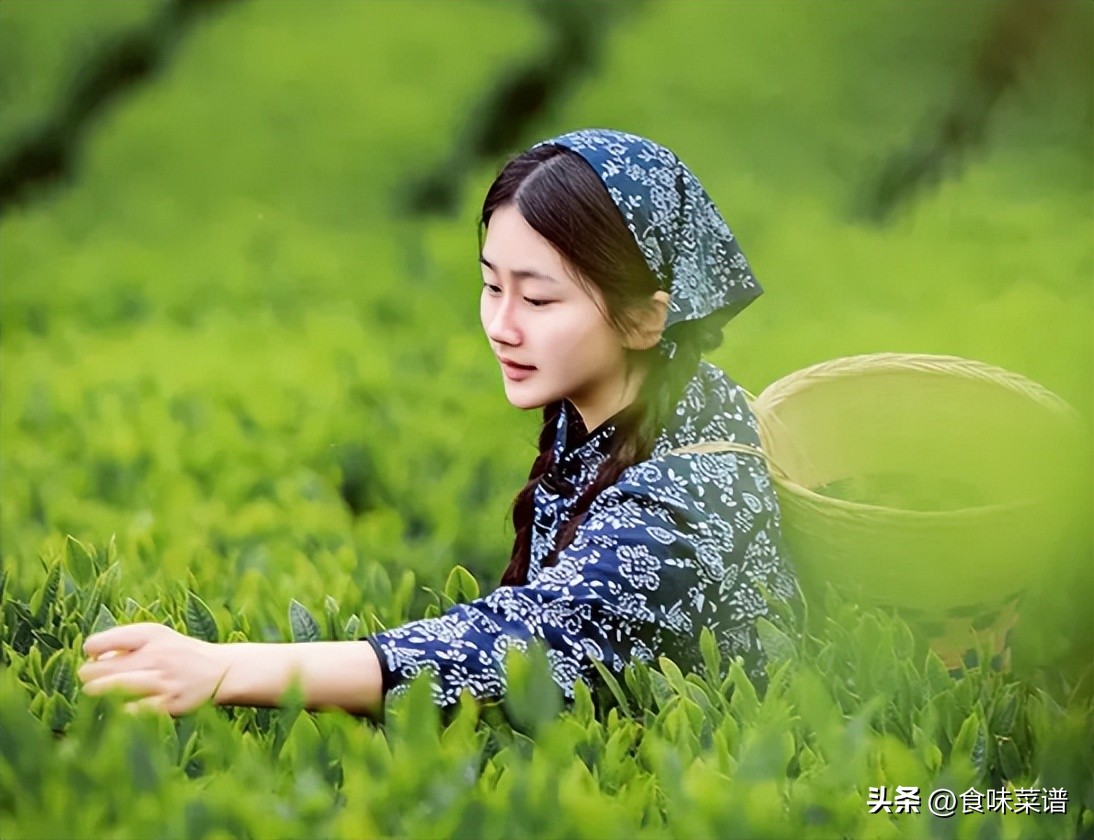 中国近期向印度进口多少茶叶,中国每年从越南进口多少茶叶