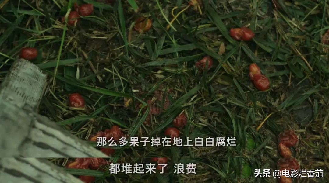 豆瓣9.0，日本乡间简素的一餐一饭，治好了无数人的“精神内耗”