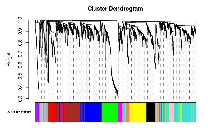 WGCNA分析的作用,什么是wgcna分析