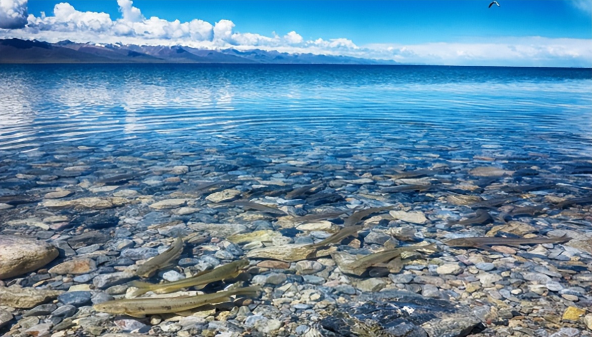 纳木错让人窒息的美,纳木错真的美到失语