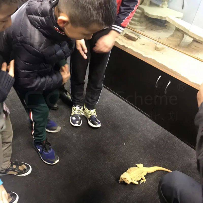 鍒嗘瀽瑙ｈ浼婇】鍏鍊煎緱鍊熼壌涔嬪,浼婇】鍏褰曞彇鏉′欢