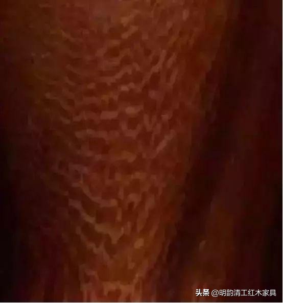 珍稀木材海南黄花梨,什么木比海南黄花梨更贵