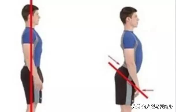 卷尾骨的功效,卷尾骨有什么好处