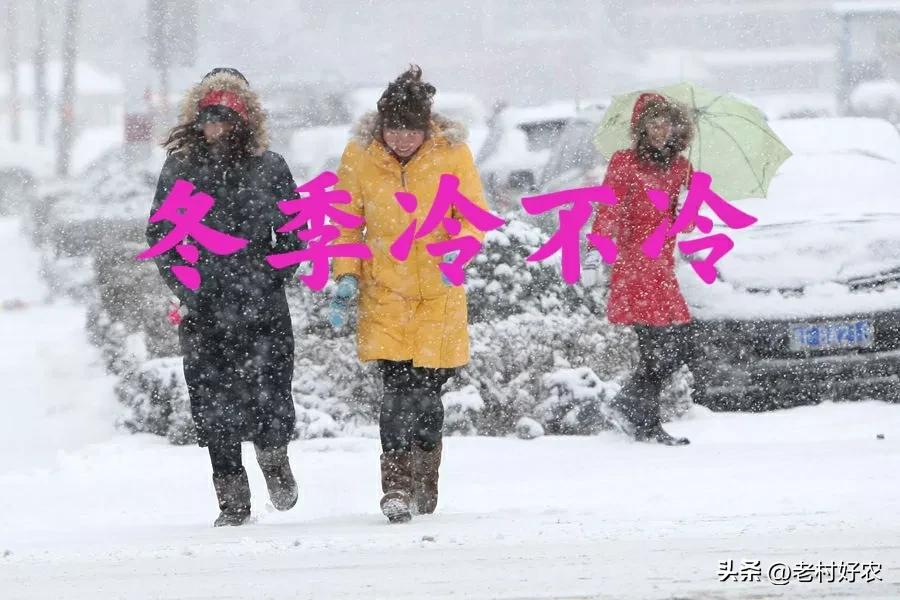 9月23日是秋分俗语怎么说,秋分今冬冷不冷