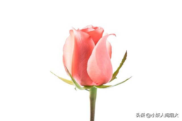 盘点九大私密整形手术,国内私密整形乱象