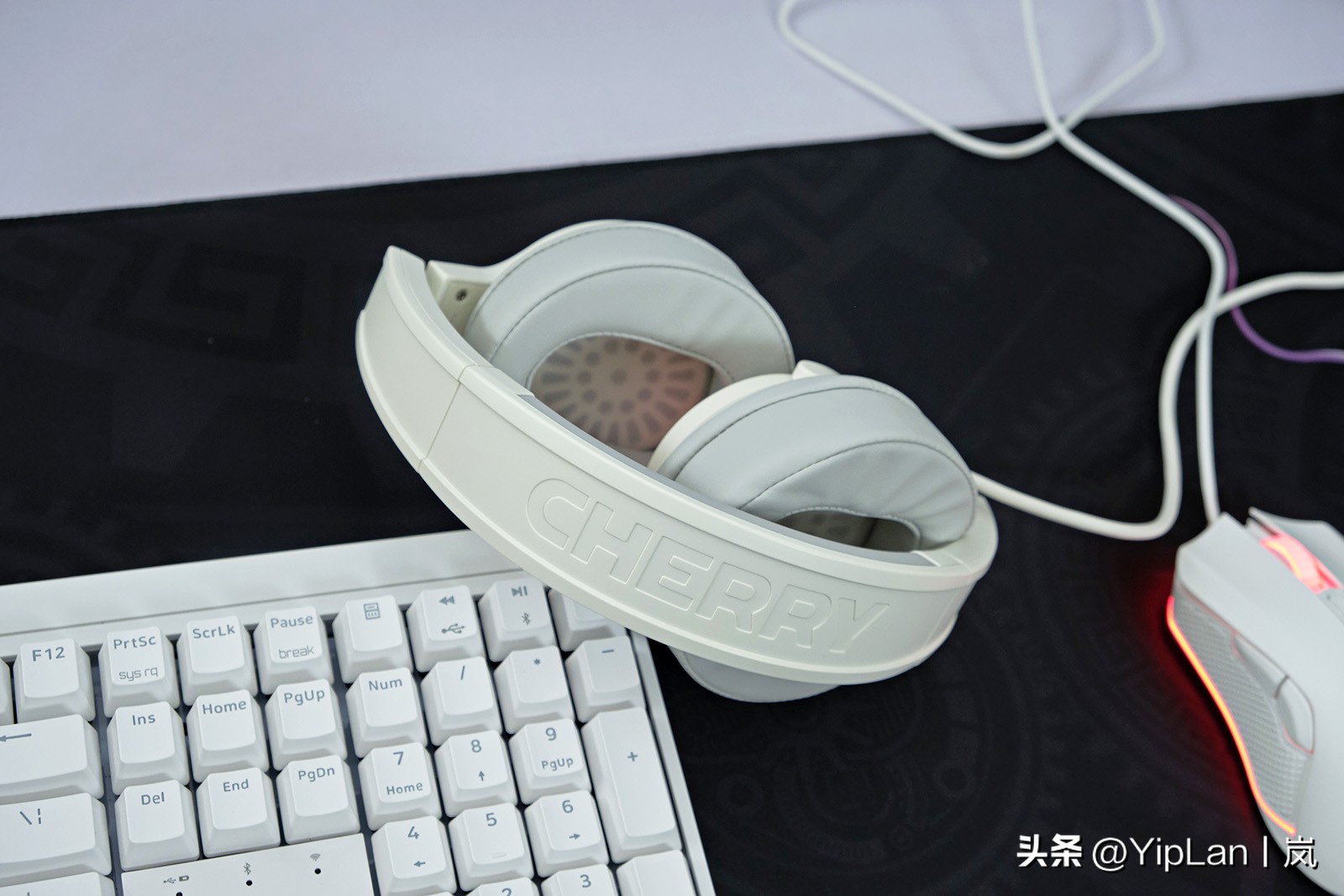 cherry澶栬鎺ㄨ崘,cherry澶栬鍜嬫牱