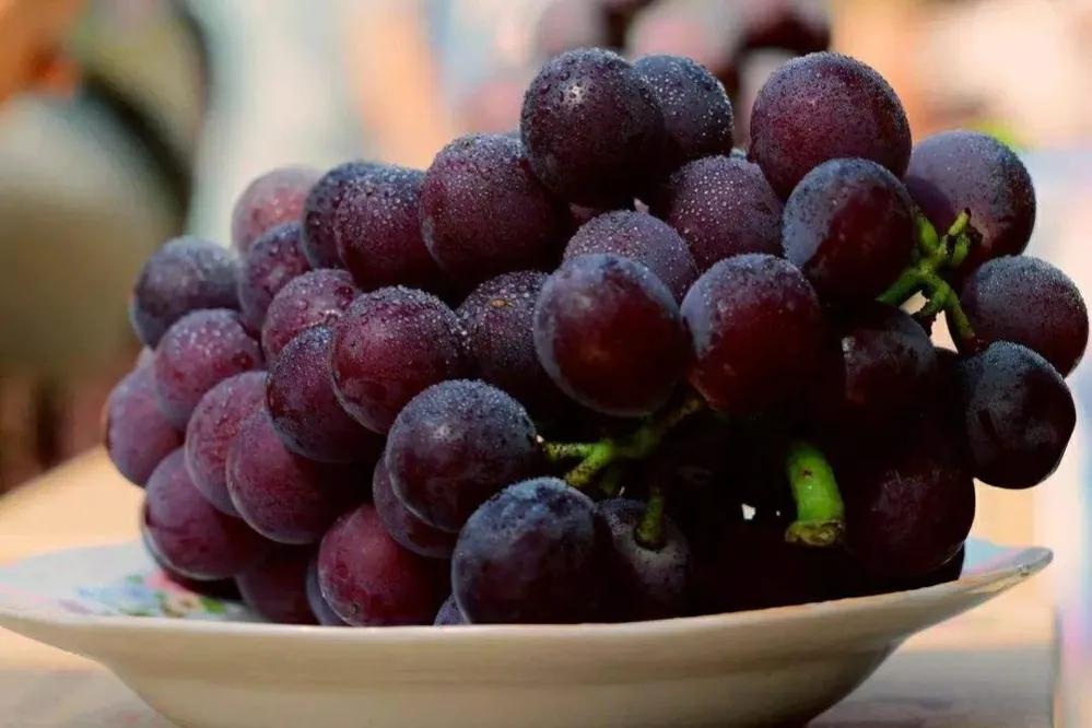 鄠邑区十大看点,鄠邑区第一中学在西安市排名