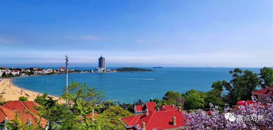 青岛最美摄影作品,青岛摄影师现状