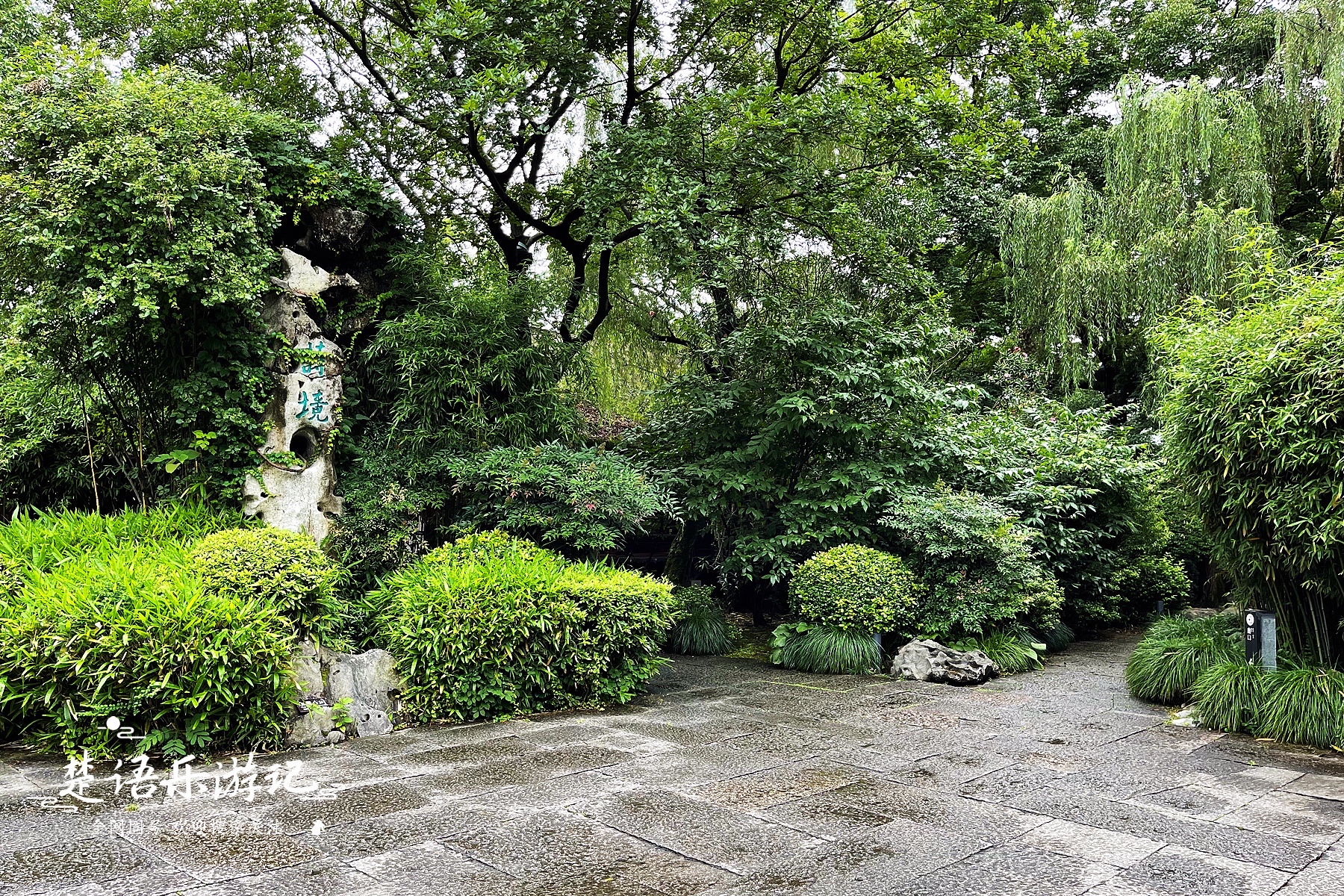 绍兴赏花一日游最佳去处,绍兴赏荷景区