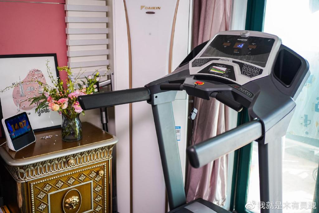 跑步机应该买哪一种,跑步机什么模式最好