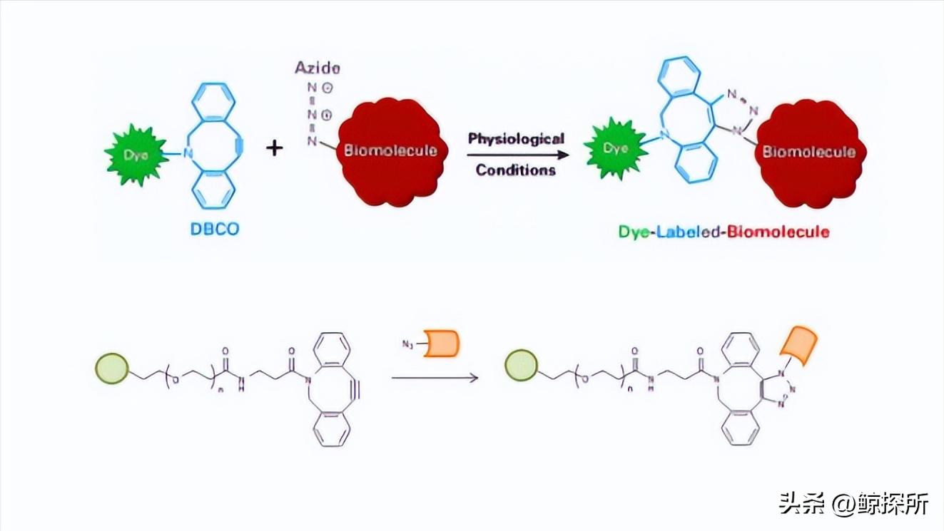 复合水凝胶生物材料,纳米复合水凝胶的应用