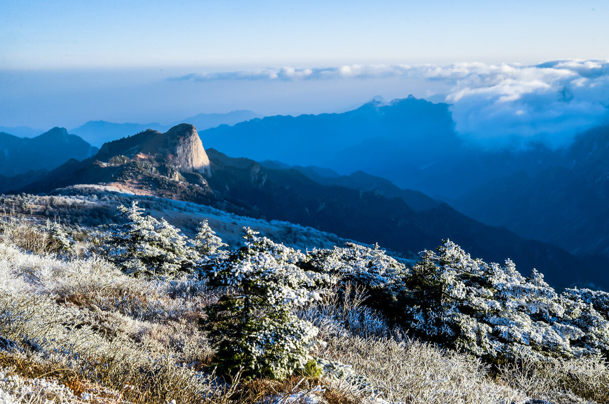 中医治疗脾肾两虚的案例,心脾两虚能彻底治好吗