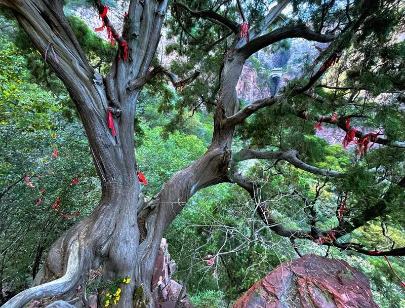 五一适合去的天然氧吧,感受天然氧吧的气息和美景
