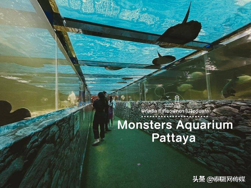 泰国芭提雅22个游玩地点推荐,泰国曼谷普吉芭提雅游玩攻略