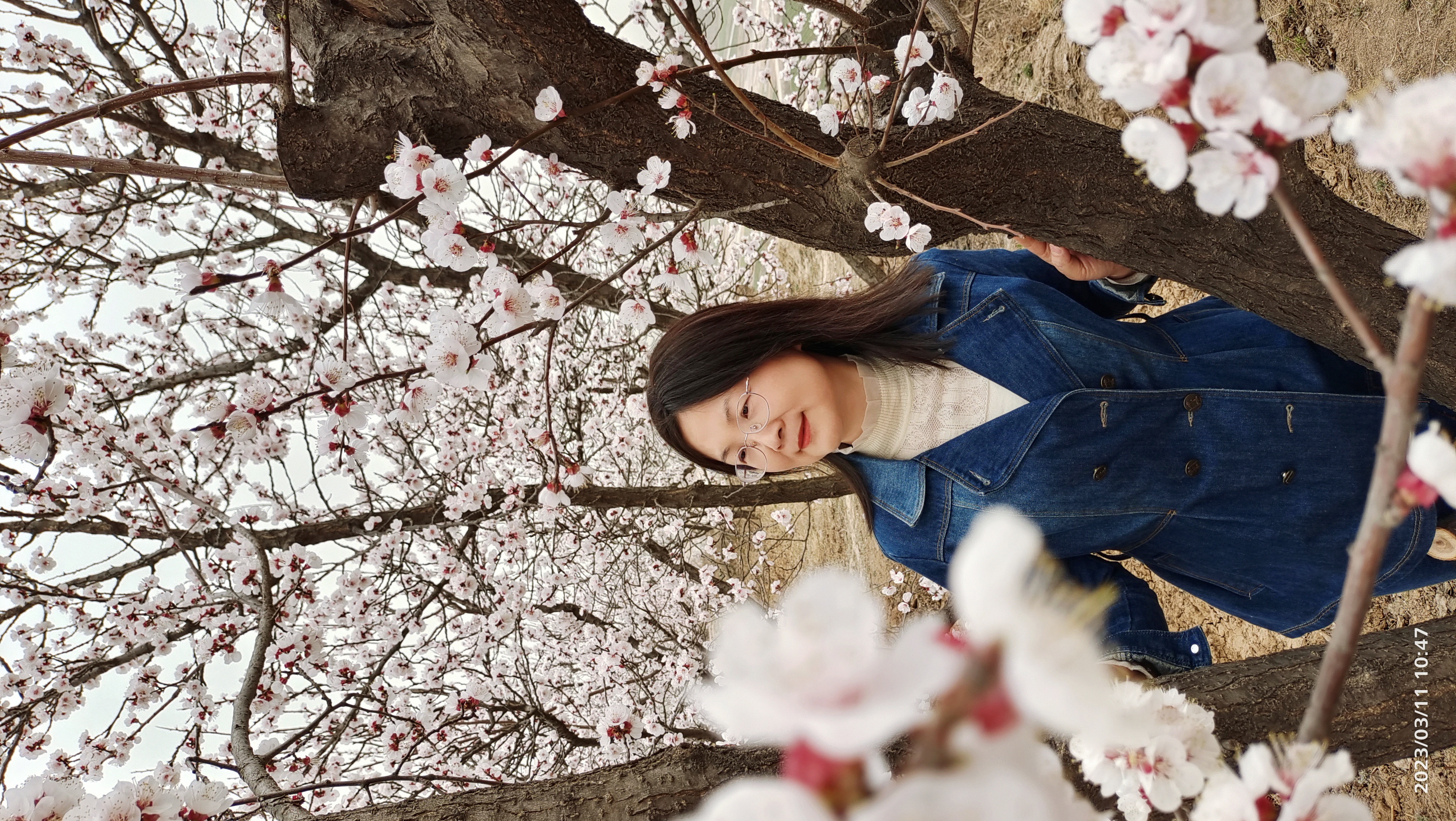 初中生算法与人工智能选择题,人工智能技术算法试题