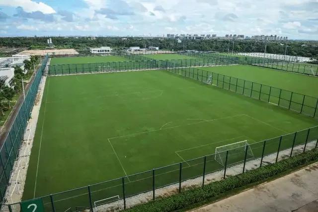 武磊重返申花,武磊或回归中超冠军