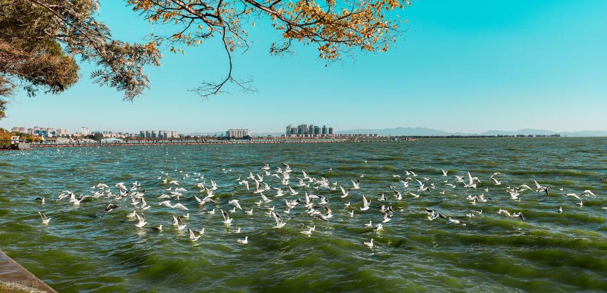 春城昆明的景点,云南昆明春城慧谷租房价多少