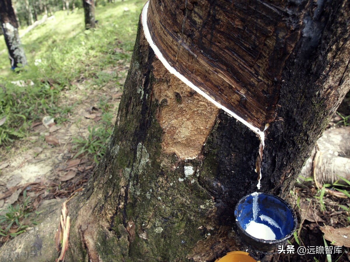 三大见解分析，三祥科技：为何是车用胶管及总成“小巨人”？