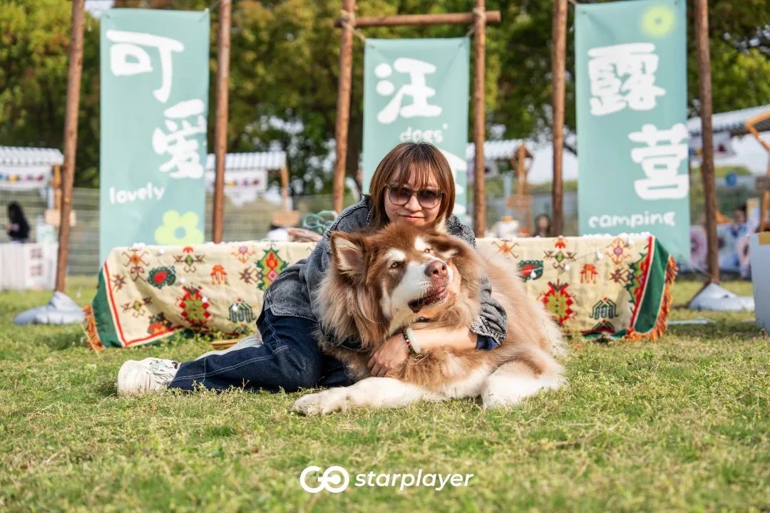 汪汪队露营去游戏,汪汪队露营获得勋章